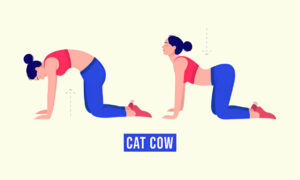 Marjaryasana-Bitilasana Cat-Cow Pose