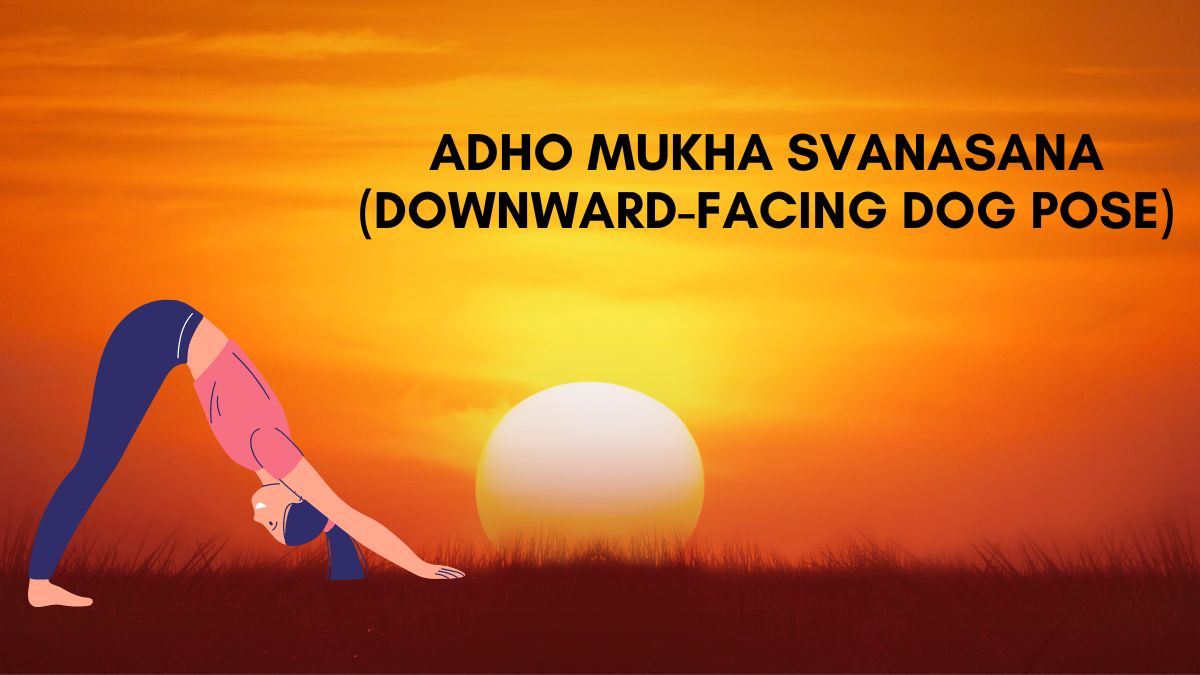Adho Mukha Svanasana Downward-Facing Dog Pose