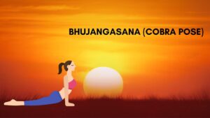 Bhujangasana Cobra Pose