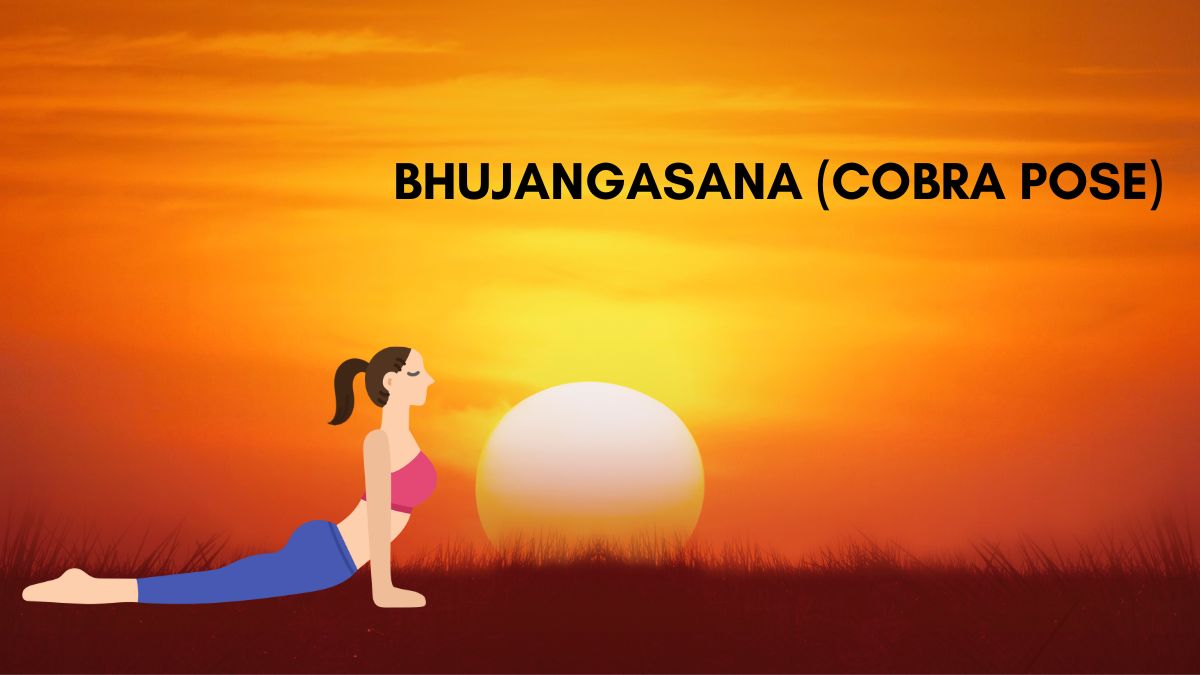Bhujangasana Cobra Pose