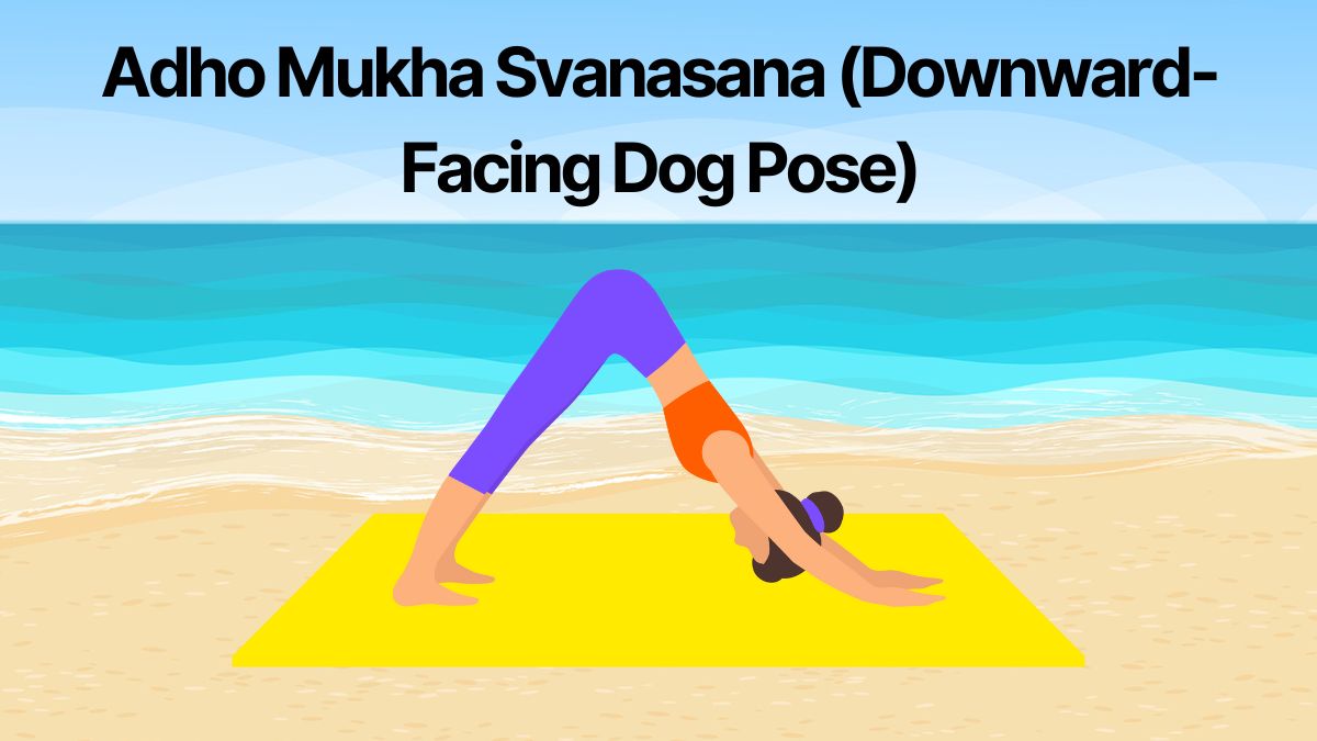 Adho Mukha Svanasana Downward-Facing Dog Pose