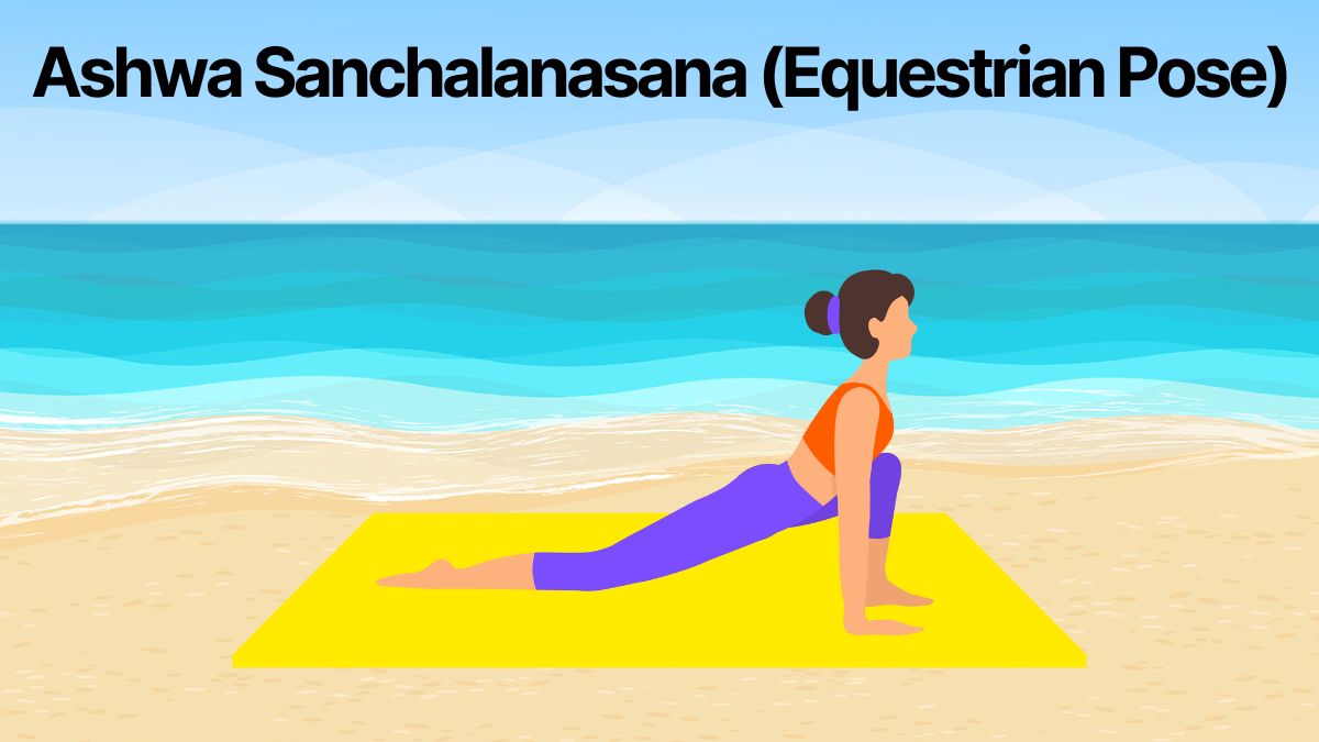 Ashwa Sanchalanasana Equestrian Pose